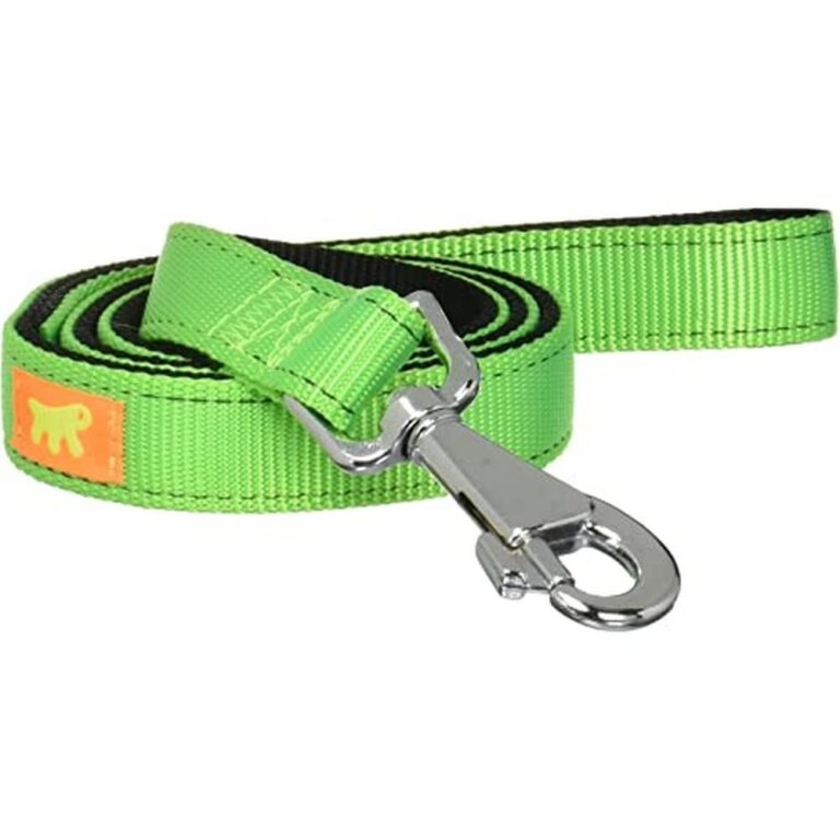 Ferplast guinzaglio cane cani nylon doppia fettuccia colori DUAL G COLOURS