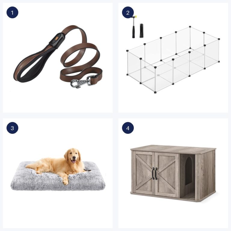 Migliori offerte · ultime 6 ore