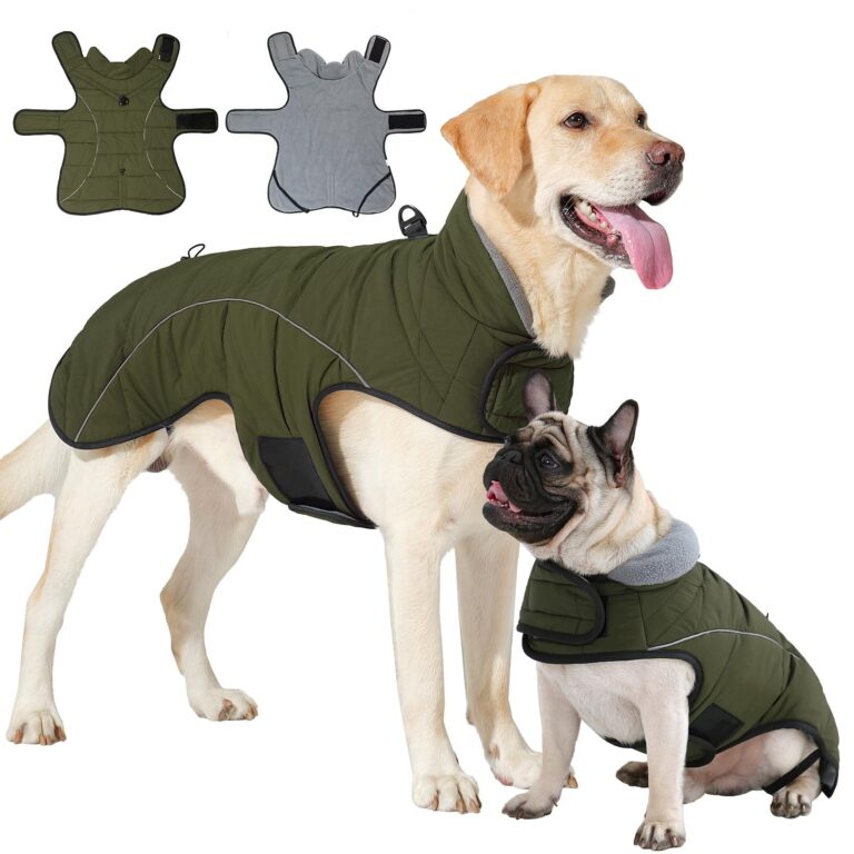 HEYWEAN Cappotto per cani Giacca impermeabile cane Cappotto invernale caldo con anello D Cappotti in pile cane Riflettente Impermeabile caldo Giacca invernale per cani di taglia p…
