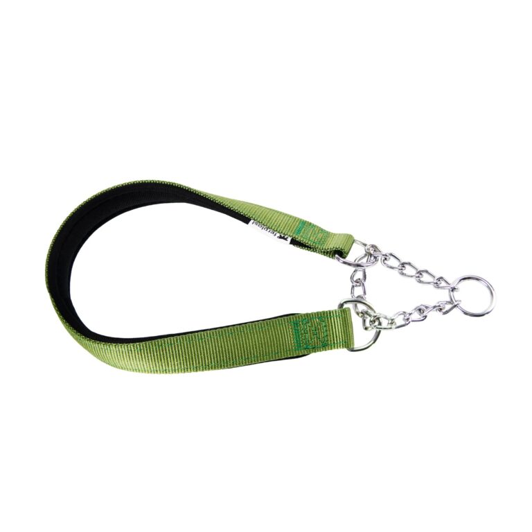 Ferplast Collare Cane Semistrozzo, in Nylon, Imbottito, Anti-trazione, per Addestramento Cani, Taglia XL (Circonferenza Collo 50-60 cm), Verde.