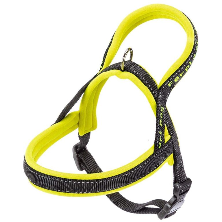 Ferplast Pettorina di tipo svedese per cani SPORT DOG P XS, Ottima vestibilità, Soffice imbottitura, Cuciture riflettenti, Etichetta per nome dell'animale, A: 39 cm - B: 48÷58 cm…
