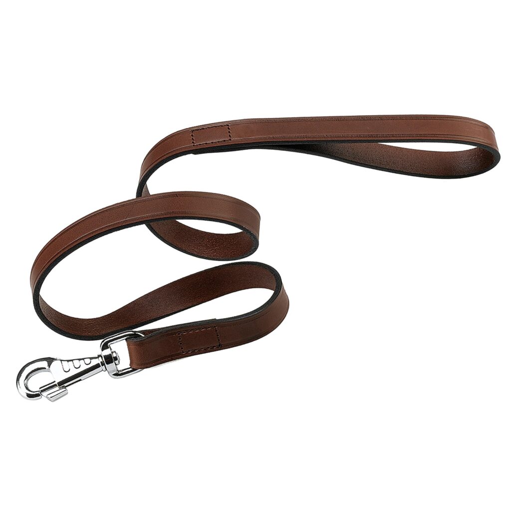 Ferplast Guinzaglio per Cani Guinzaglio per cani VIP G20/150, Robusto cuoio di toro, 20 mm x L 150 cm Marrone