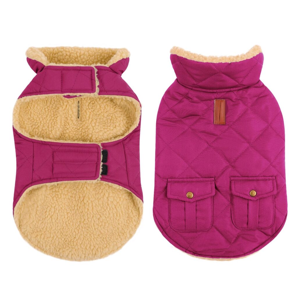 CITÉTOILE Gilet Termico Invernale per Cani in Lana Spessa Viola L | Cappottino Caldo Antivento e Traspirante. Chiusura a Strappo, Facile da Indossare. Per Cani di Piccola e Media…